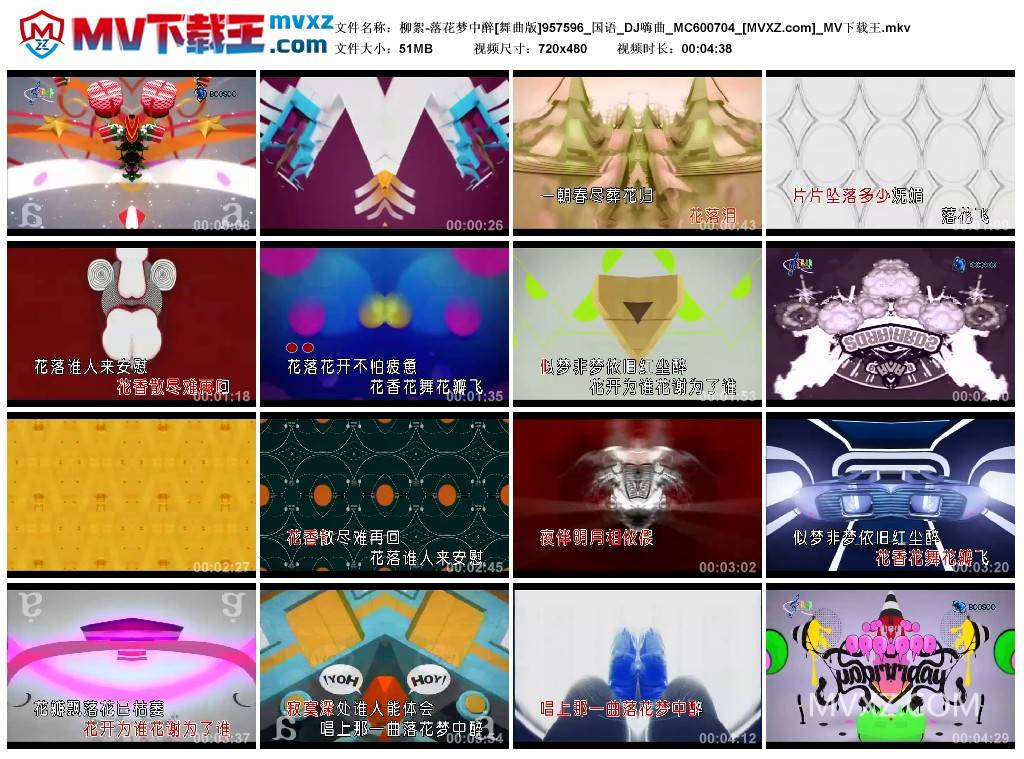 柳絮-落花梦中醉[舞曲版]957596_国语_DJ嗨曲_MC600704